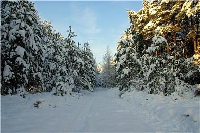 《孤岛惊魂6》PS5、XSX＆S、PC画质对比 都能稳60帧